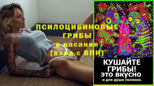 a pvp Бронницы