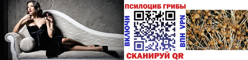 Псилоцибиновые грибы мухоморы  Купить  Котлас 